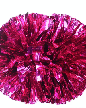 Pink Girls Flower Cheer Plastic Team Spirit Cheering Cheerleading Pom Poms Balls