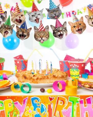 Cat Face Theme Birthday Party Decorations