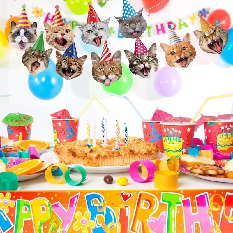 Cat Face Theme Birthday Party Decorations