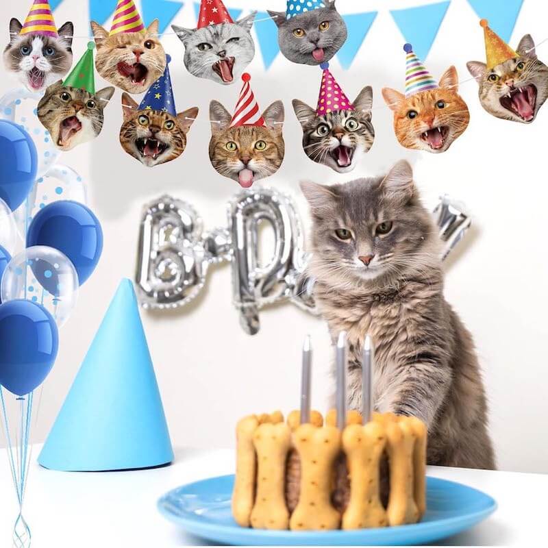 Cat Face Theme Birthday Party Decorations