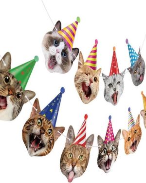 Cat Face Theme Birthday Party Decorations